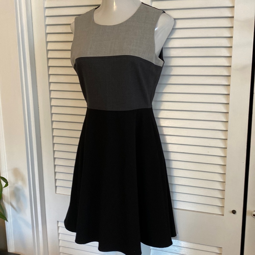 CK fit and flare color block tailored sleeveless dress